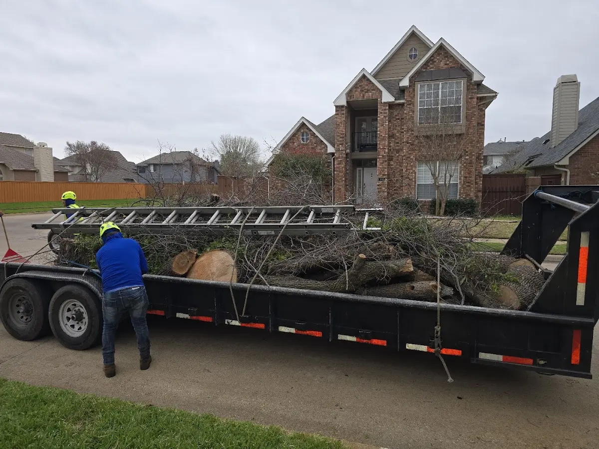 Expert Lot Clearing with proper safety equipment in Shermans Dale